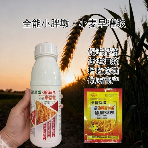 籽粒飽滿為峰肥業(yè)小麥葉面肥是什么,為峰肥業(yè)廠家批發(fā)