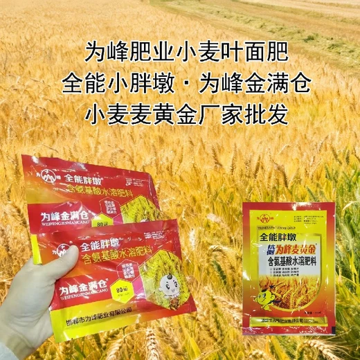 促進(jìn)分蘗小麥早灌漿小麥葉面肥什么時(shí)間用,為峰肥業(yè)廠家批發(fā)