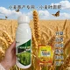 促進(jìn)授粉小胖墩小麥葉面肥水溶肥圖