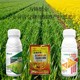 控旺抗倒為峰肥業(yè)小麥葉面肥葉面肥圖