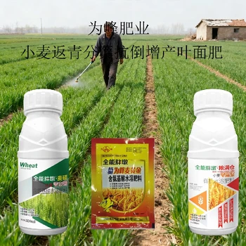 抗病增產(chǎn)小胖墩小麥葉面肥調(diào)節(jié)劑,為峰肥業(yè)廠家批發(fā)