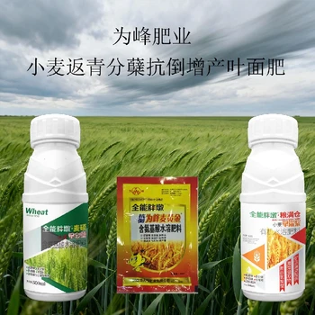 控旺抗倒小胖墩小麥葉面肥什么時間用,為峰肥業(yè)廠家批發(fā)