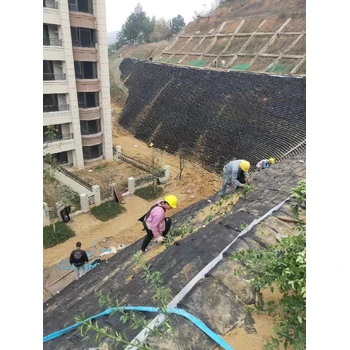 福建高速公路綠化報(bào)價(jià)