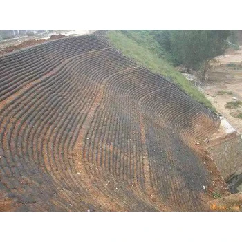 四川城市綠化流程