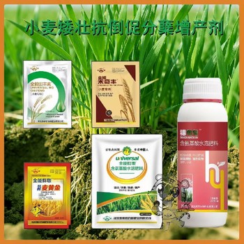 籽粒飽滿小麥早分蘗小麥葉面肥用法用量,為峰肥業(yè)廠家批發(fā)