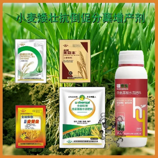 促進授粉為峰肥業(yè)小麥葉面肥一畝地用多少,為峰肥業(yè)廠家批發(fā)