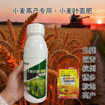 籽粒飽滿小麥早分蘗小麥葉面肥用法用量,為峰肥業(yè)廠家批發(fā)