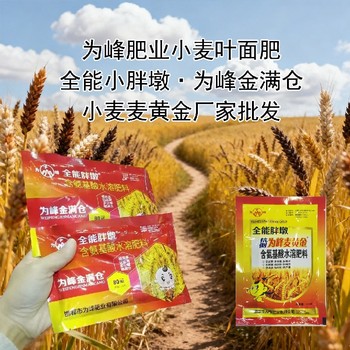 籽粒飽滿小麥早分蘗小麥葉面肥用法用量,為峰肥業(yè)廠家批發(fā)