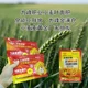 小麥柯杈小麥早灌漿小麥葉面肥使用方法,為峰肥業(yè)廠家批發(fā)產(chǎn)品圖