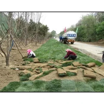 福建高速公路綠化報(bào)價(jià)