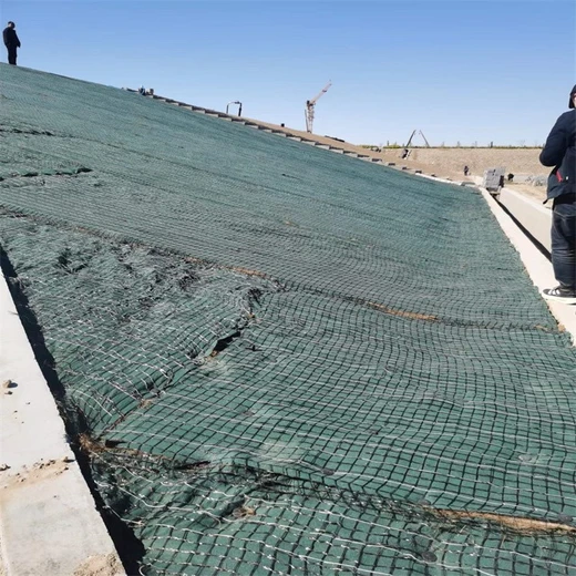 椰絲植被毯邊坡治理植被毯廠家