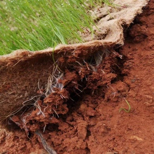 邊坡防護(hù)椰絲毯廠家植物纖維毯邊坡綠化