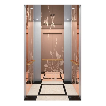 有機(jī)房電梯深圳自建房