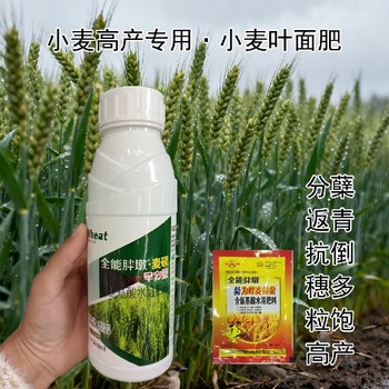 籽粒飽滿小麥早分蘗小麥葉面肥用法用量,為峰肥業(yè)廠家批發(fā)