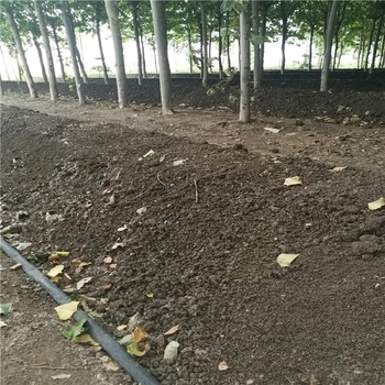 寧河蚯蚓土多少錢,蚯蚓糞廠家