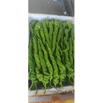 廈門生鮮蔬菜配送廈門同安蔬菜配送