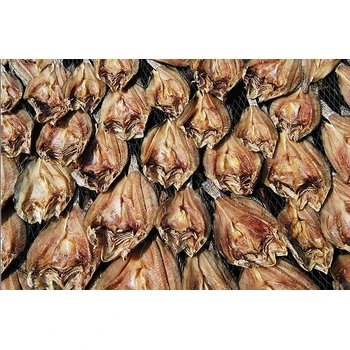 魚干進口報關(guān)代理回復快