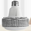 高光效led燈泡30w替換100w工礦燈廠家供應(yīng)