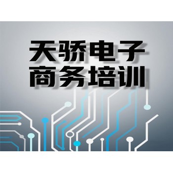 東莞望牛墩扶涌電腦辦公軟件提升培訓(xùn)電子商務(wù)培訓(xùn)上萬江天驕