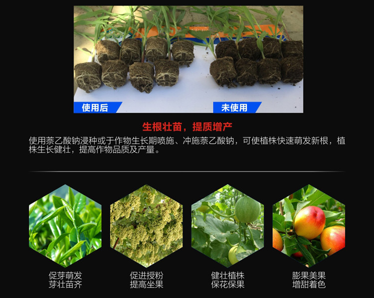 97488.jpg 萘乙酸鈉2.jpg