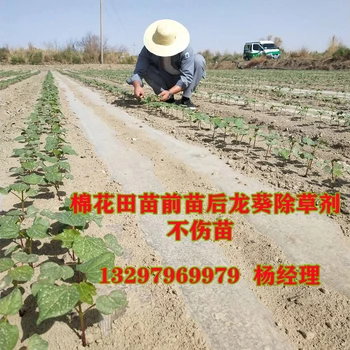 供應(yīng)嘧硫草醚生產(chǎn)廠家