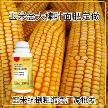 玉米金大棒是真的嗎？玉米葉面肥金大棒廠家批發(fā)招商