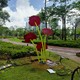 b_133799202209301002257721.jpg