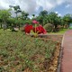 b_133799202209301002231392.jpg