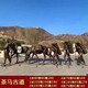 圖片_20240717100614.jpg