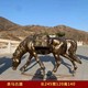 圖片_20240717100622.jpg