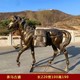 圖片_20240717100618.jpg