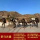 圖片_20240717100631.jpg