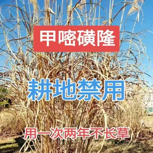 10%甲嘧磺隆可濕性粉劑除草劑生產(chǎn)廠家