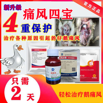 鵝痛風(fēng)緊急警報(bào)！治療鵝痛風(fēng)一招快速緩解