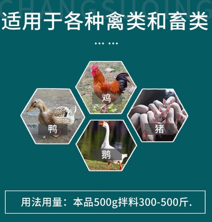 1744765271727196.png@750w_750h_90Q