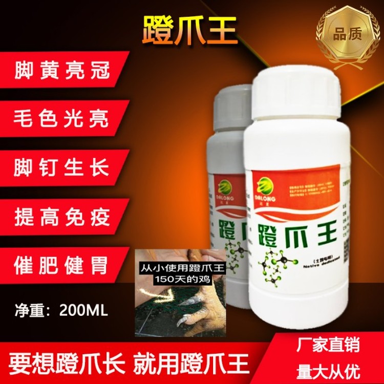89186.jpg@750w_750h_90Q