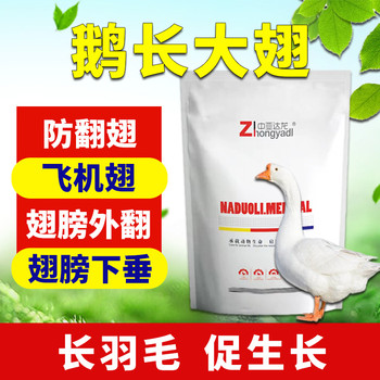 達(dá)龍鵝翅靈登場(chǎng)，促生長(zhǎng)、防翻翅，守護(hù)鵝群健康