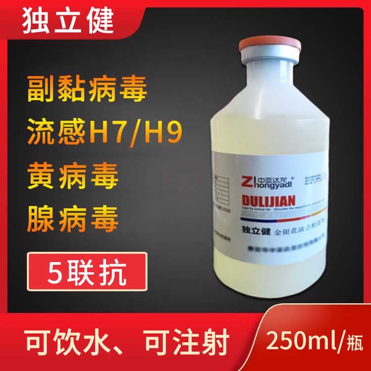 66305.jpg@750w_750h_90Q