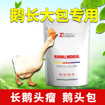 達龍鵝鼓包：風味特，吃了還想吃