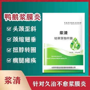 達龍漿清：鴨鵝漿膜炎配呼腸孤用佳，溶膜抗菌強
