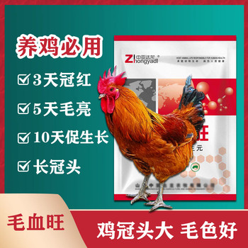 達龍毛血旺拌料：促土雞長冠長羽，降低飼料成本