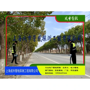 上海200楊浦地下管線探測