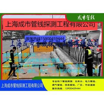 上海臨港管線探測(cè)公司