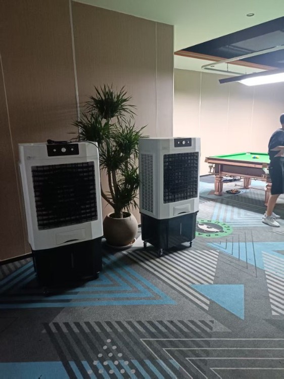 99004.jpg@750w_750h_90Q