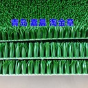 加粗加長(zhǎng)粘金草加密增金布沾金毯吸金毛毯淘金草坪