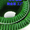 淘金草淘金毯沾金草粘金毯增金草增金毯