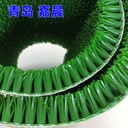 淘金草生產(chǎn)源頭工廠淘金毯沾金草吸金草增金草水上淘沙金