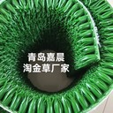 淘金草的外形外觀淘金毯粘金毯增金草吸金草吸金毯洗金草