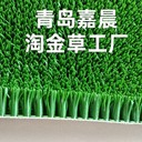 淘金草是什么草淘金草的工作原理和作用抓金草抓金毯收金草