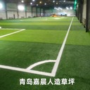 吉林省汪清縣免填充足球場(chǎng)人造草坪免充砂足球場(chǎng)草坪